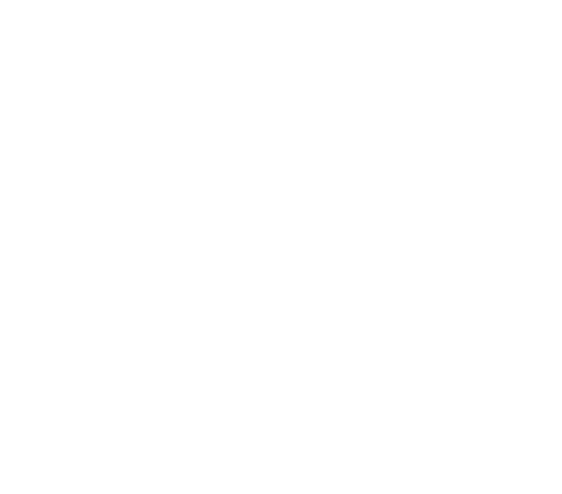 Indigo Orca